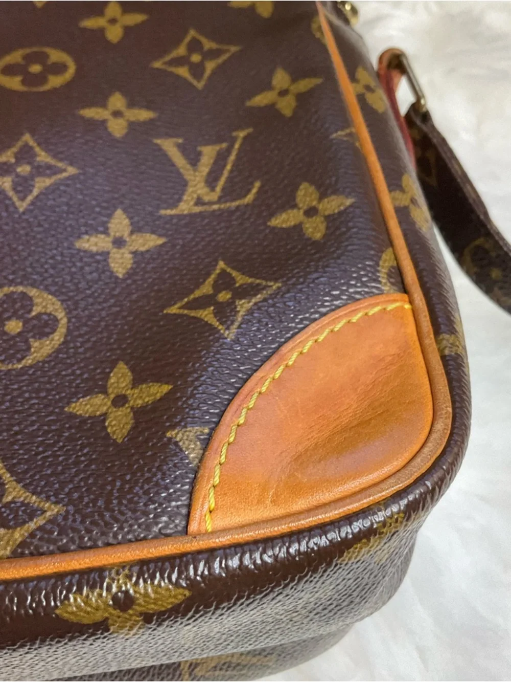 Louis Vuitton Monogram Amazon Shoulder Bag - Picture 11 of 16